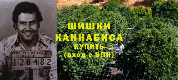 ПСИЛОЦИБИНОВЫЕ ГРИБЫ Армянск
