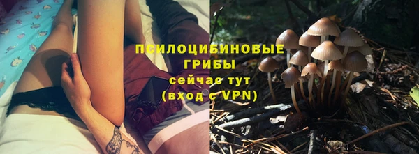 ПСИЛОЦИБИНОВЫЕ ГРИБЫ Армянск