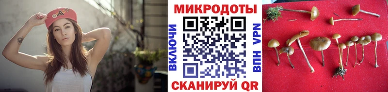 Галлюциногенные грибы MAGIC MUSHROOMS  KRAKEN ONION  shop состав  Ряжск 